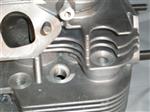 050_Frontfins_Thumb.JPG