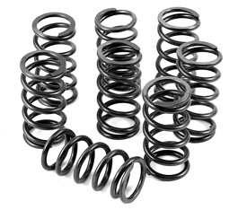 High Rev Single Valve Springs for VW Type 1 Engine