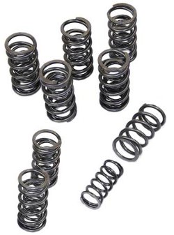 High Rev Dual Valve Springs for VW Type 1 Engine