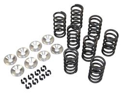 High Rev Single Valve Spring Kit for VW Type 1 Engine